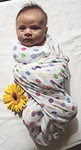 Swaddle Blankets