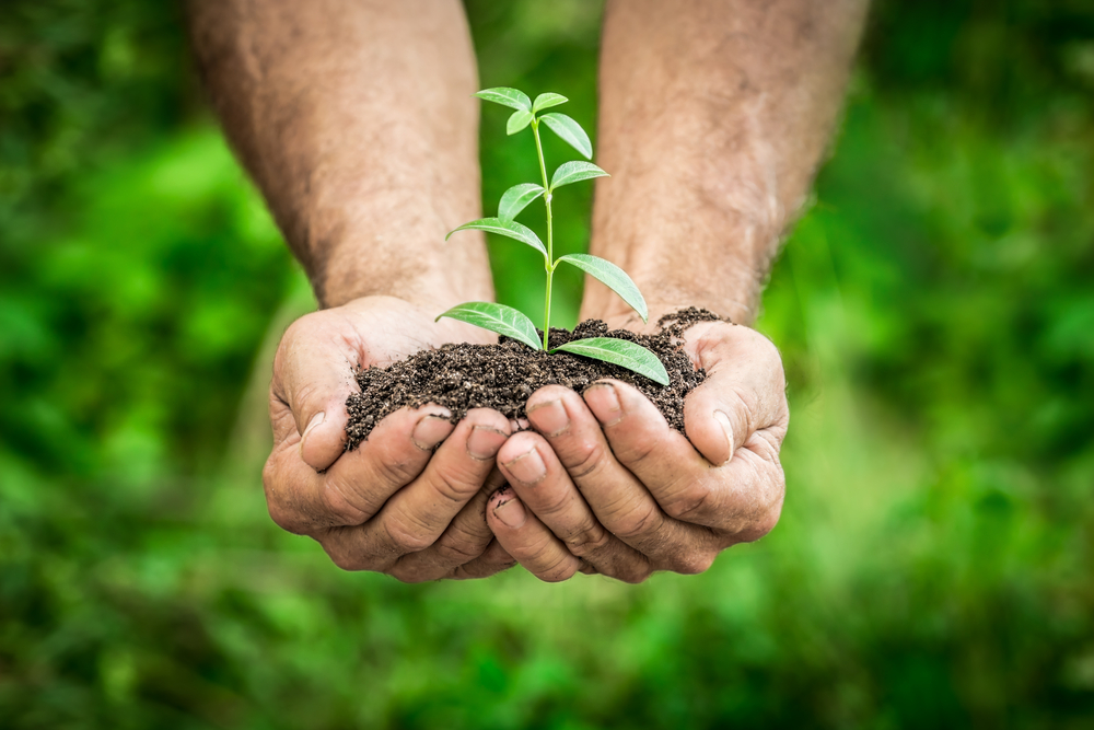 earth_day_2 earth_day_2