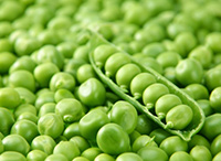 fresh green peas