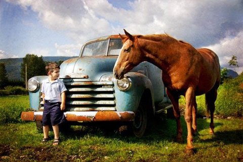 And Then Along Came the Horse by Sandra Reale Trouche