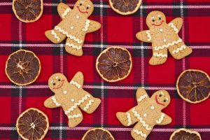 Orange Gingerbread Cookies Recipe - SavvyMom