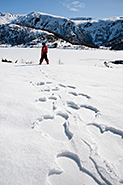 Curious Footprints