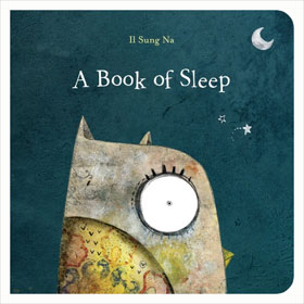 A Book of Sleep by Il Sung Na