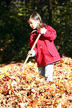 Girl raking fall leaves