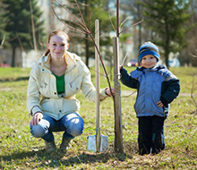 Mom and son planting tree