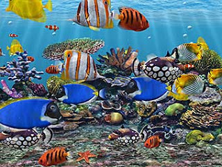 marine_aquarium_screensaver