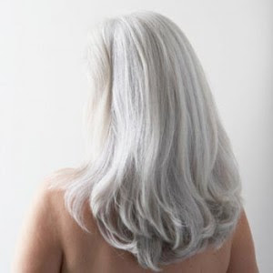 greyhairpic1 greyhairpic1