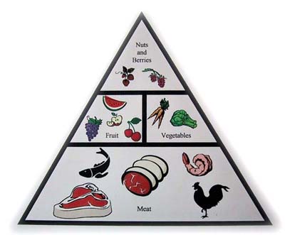 zone-paleo-food-pyramid1