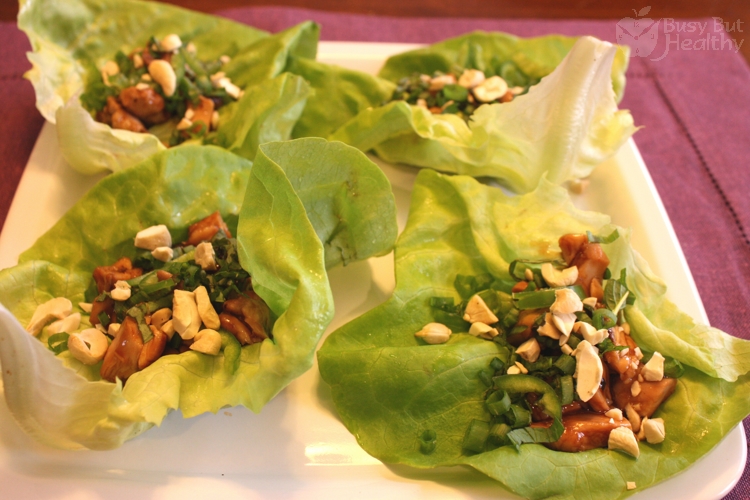 hoisin-chicken-lettuce-wraps_2-Copy