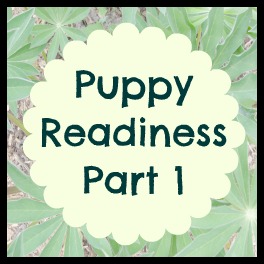 puppyreadinessp1 puppyreadinessp1