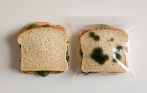 Sandwich Bags