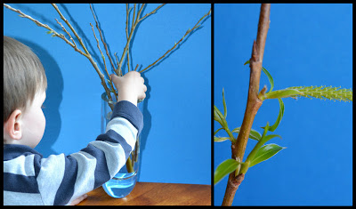 treebranchinwater treebranchinwater