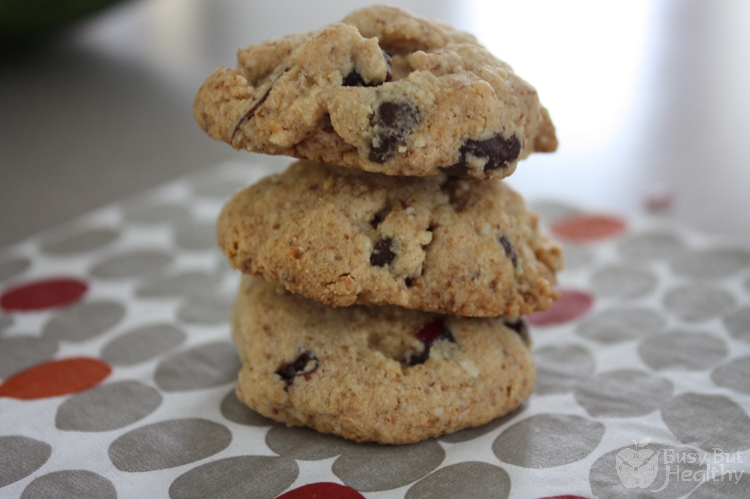 flourless-chocolate-chip-cranberry-cookies-Copy