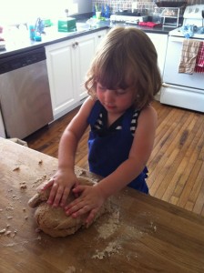 IMG_2054-224x300 IMG_2054-224x300