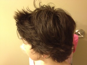 francesco-hair-300x225 francesco-hair-300x225
