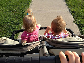 IMG_2886 IMG_2886