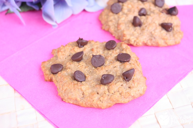 banana-peanut-butter-breakfast-cookies-Copy