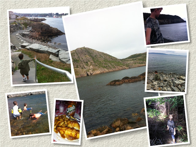 newfoundland201221 newfoundland201221