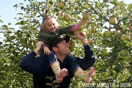 apple_picking_ontario3