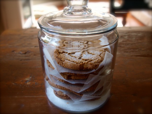 ginger-cookies-in-jar1-e1346941809421