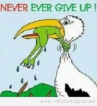 never-ever-give-up-frog-137x150