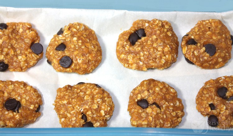 no-bake-pumpkin-chocolate-chip-protein-cookies_e-Copy
