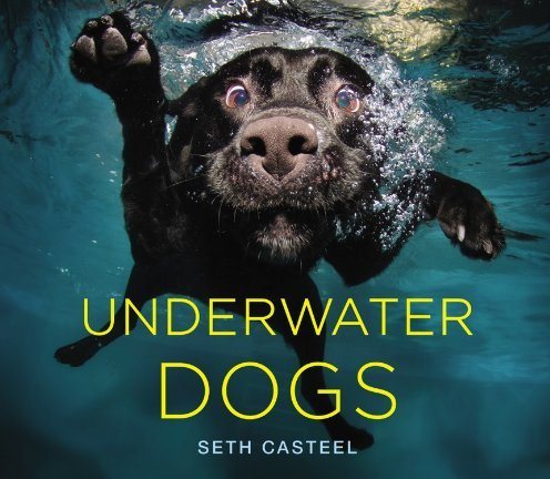 Underwater Dogs