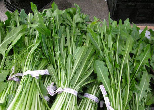 wsgadandeliongreens wsgadandeliongreens