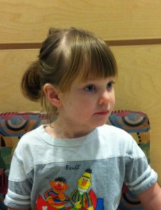 IMG_3997-231x300 IMG_3997-231x300