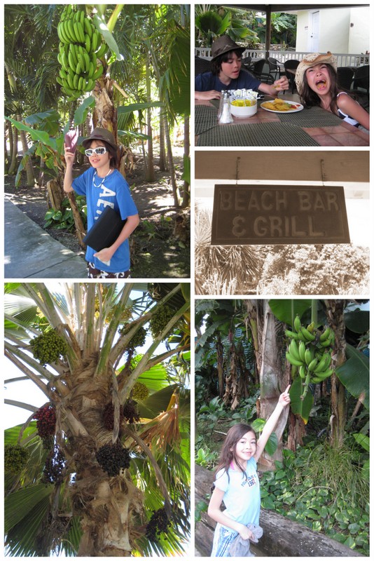 Beachfoodcollage Beachfoodcollage