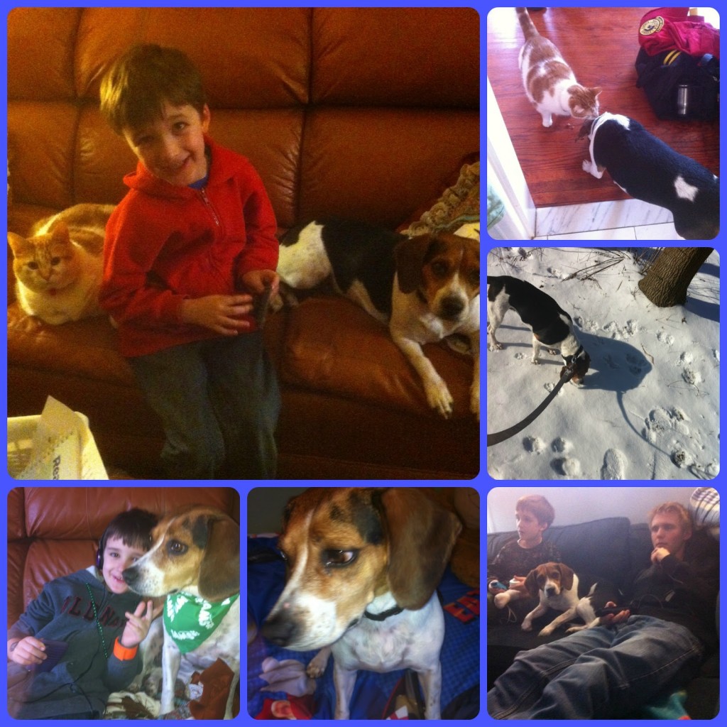 PicMonkeyCollage PicMonkeyCollage