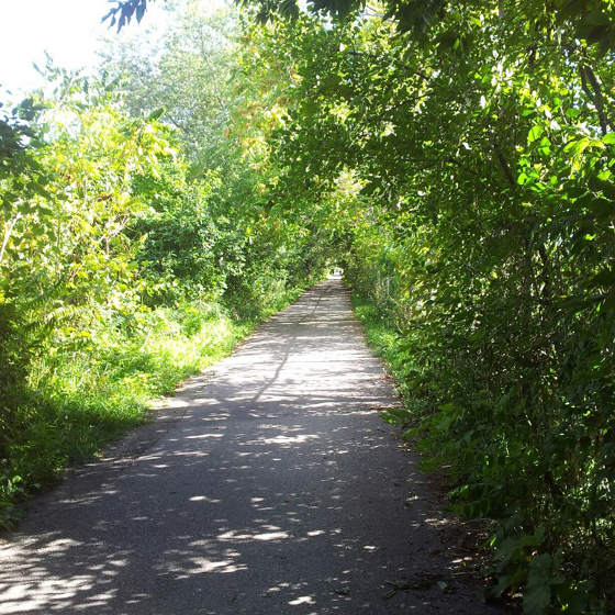 Toronto Bike Paths for Families