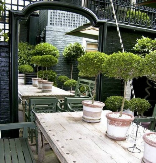 Mirror-in-the-Garden Mirror-in-the-Garden