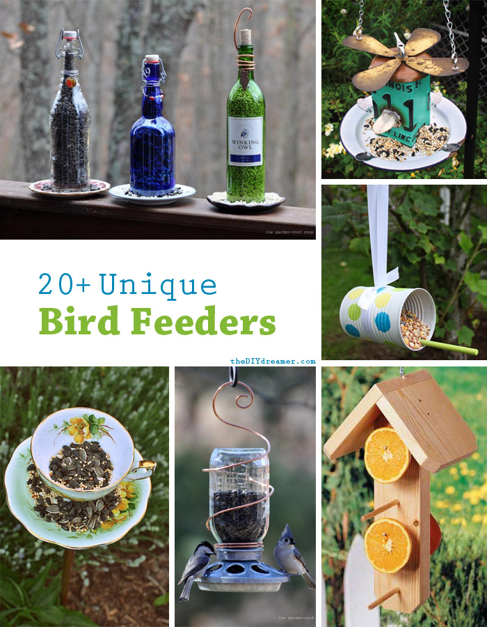 bird-feeder