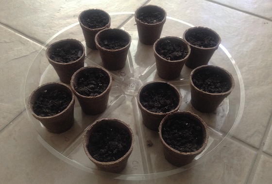 filled_pots filled_pots