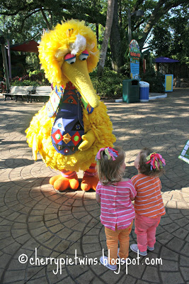 sesame1 sesame1
