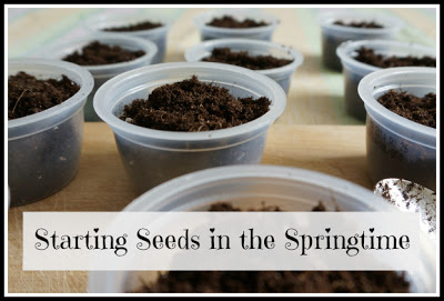 startingseedsspringtimebutton