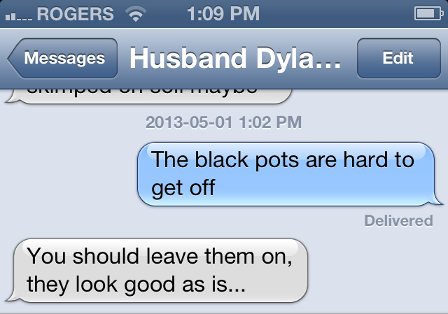 dylan-text dylan-text