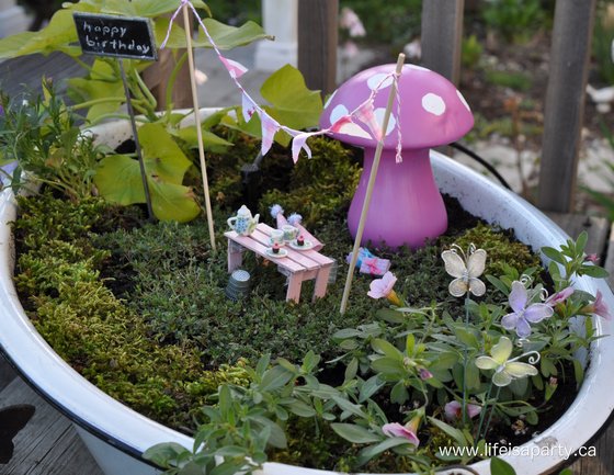 fairygarden6