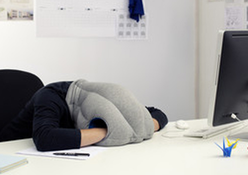 Ostrich Pillow