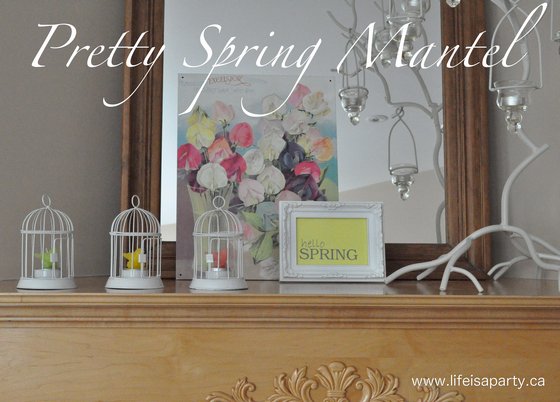springmantel4