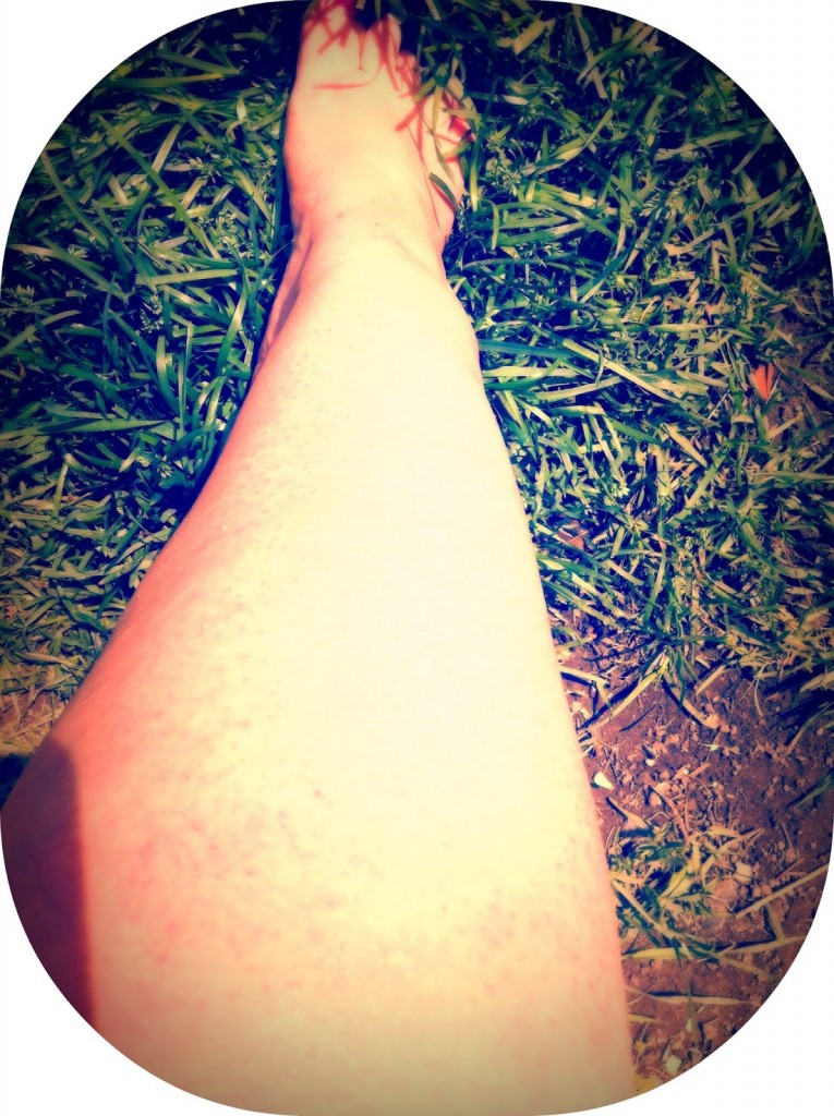 summerlegs1