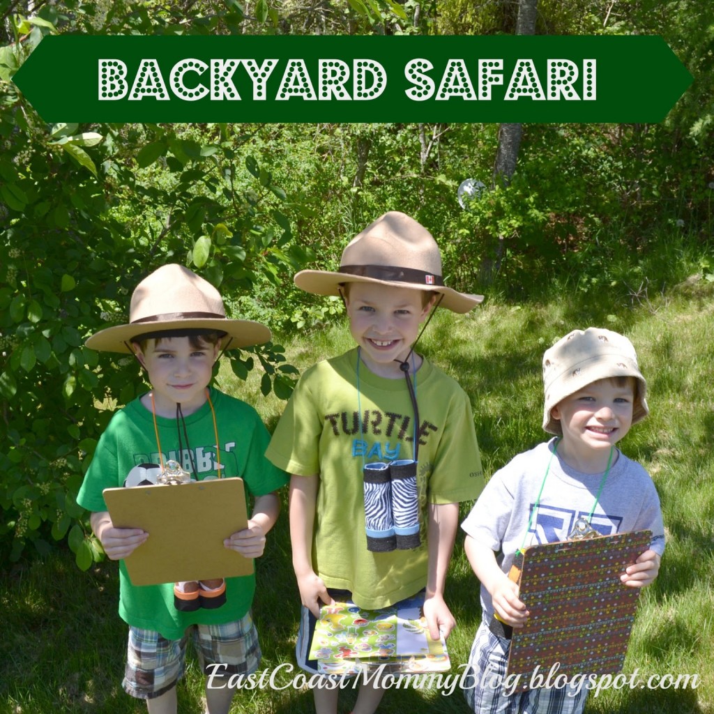 backyardsafari