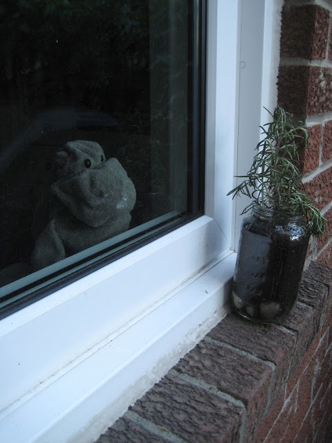 IMG_0945 IMG_0945