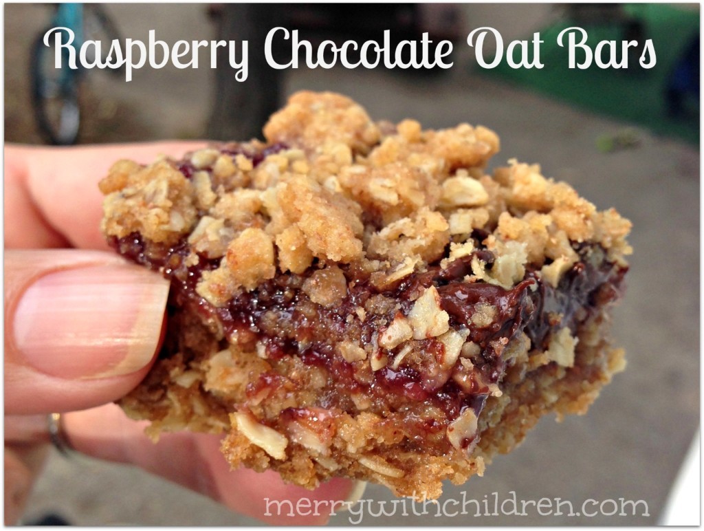 Raspberry-Chocolate-Oat-Bars-1024x772