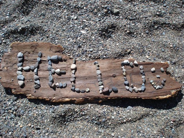 Whytcliffe-Park-Caitlyns-beach-art