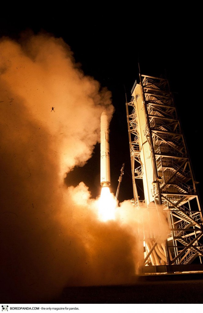 frog-photobomb-nasa-launch-1