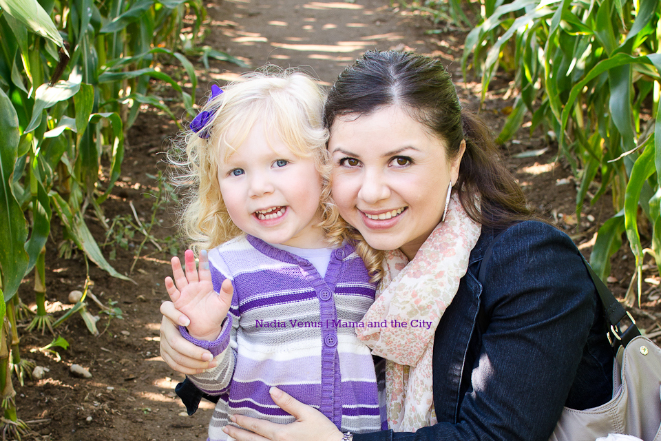 AppleBarn_Milla12013.jpg AppleBarn_Milla12013.jpg