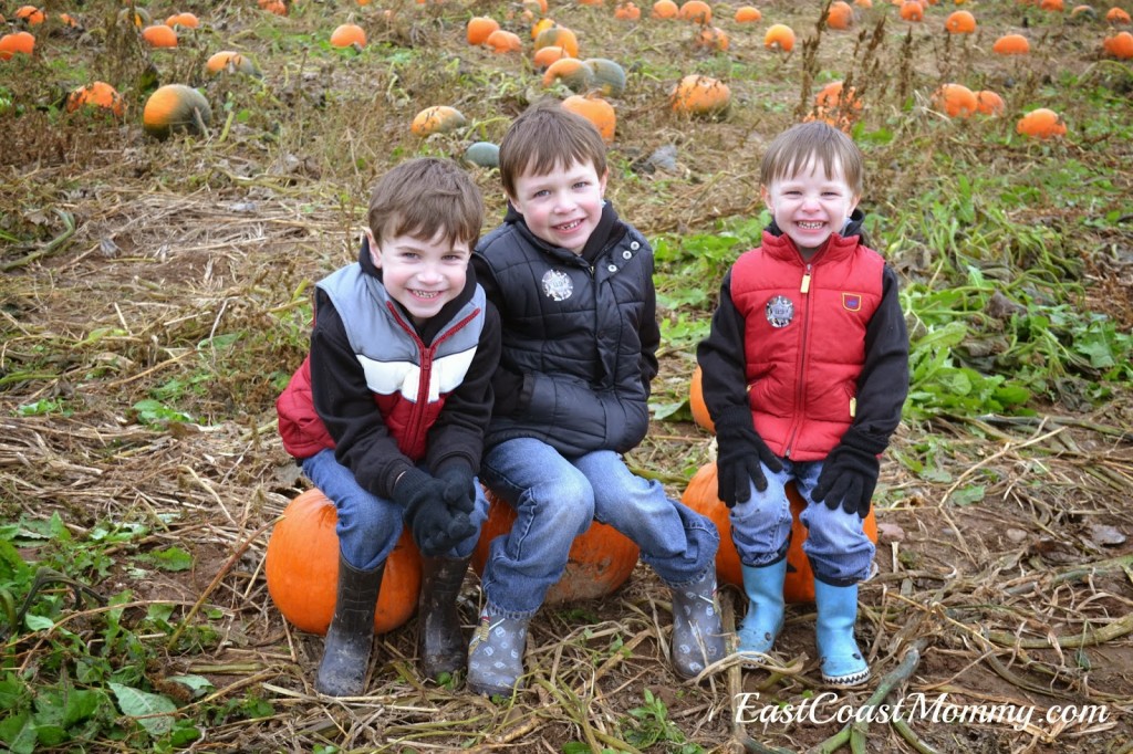 boysinthepumpkinpatch