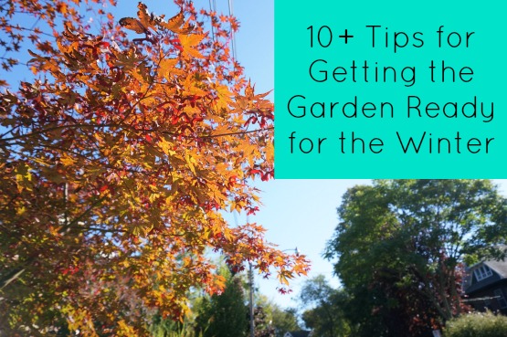 garden-ready-for-the-winter garden-ready-for-the-winter